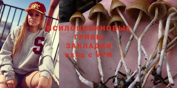 гашишное масло Михайлов