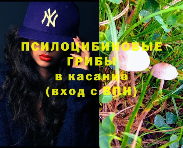 молекула духа Михайловка