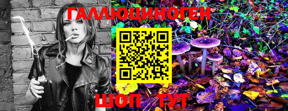 Павлово  Псилоцибиновые грибы MAGIC MUSHROOMS  Псилоцибиновые грибы Cubensis  Вход с VPN 